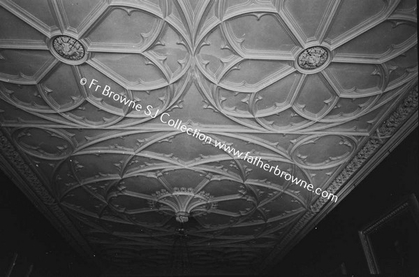 BIRR CASTLE  DINING ROOM CEILING